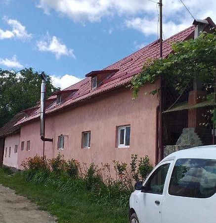 Villa Casa Boierului Imbri à Cîrţişoara Extérieur photo