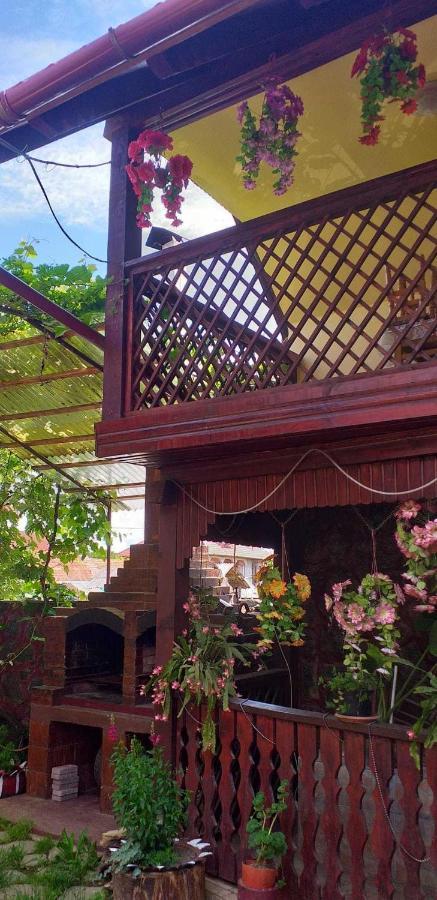Villa Casa Boierului Imbri à Cîrţişoara Extérieur photo