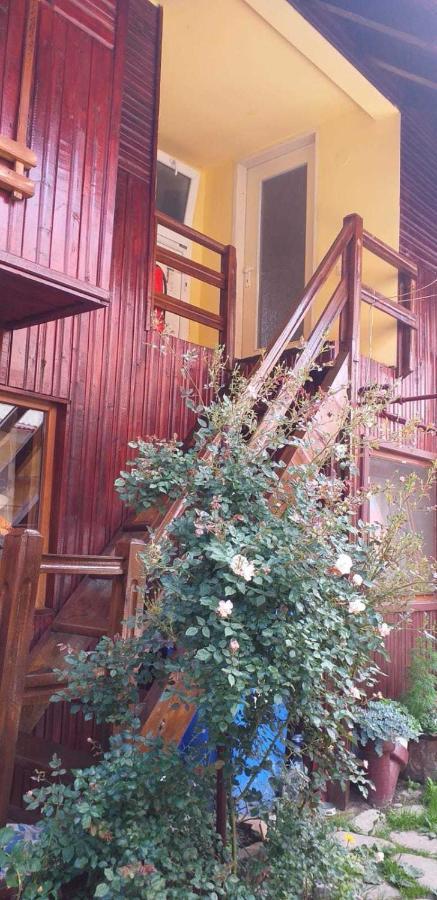 Villa Casa Boierului Imbri à Cîrţişoara Extérieur photo