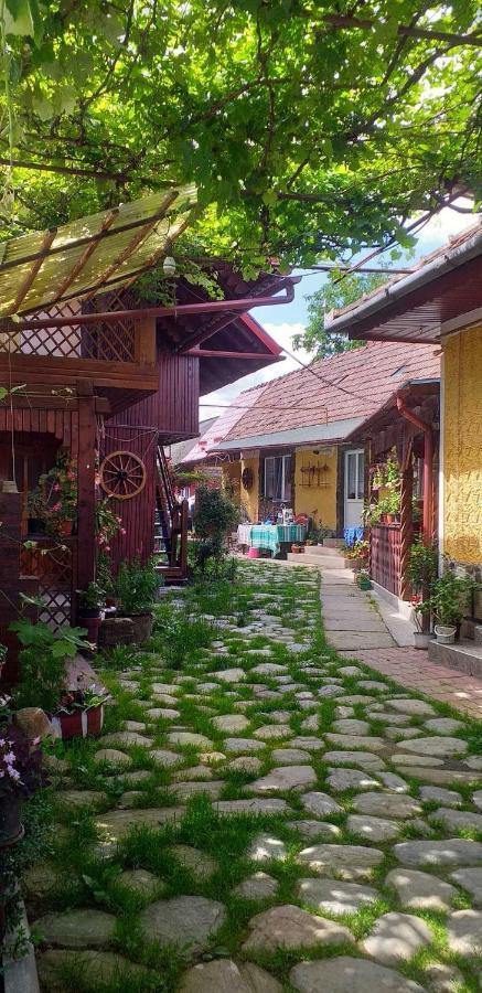 Villa Casa Boierului Imbri à Cîrţişoara Extérieur photo
