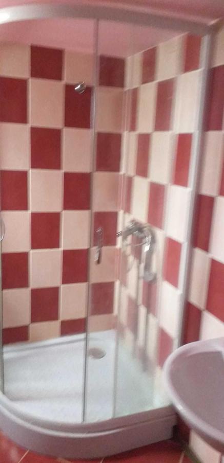 Villa Casa Boierului Imbri à Cîrţişoara Extérieur photo