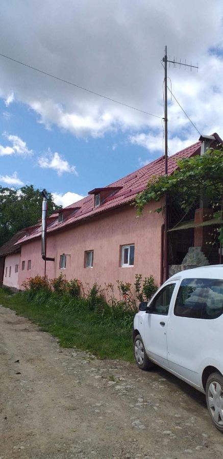 Villa Casa Boierului Imbri à Cîrţişoara Extérieur photo
