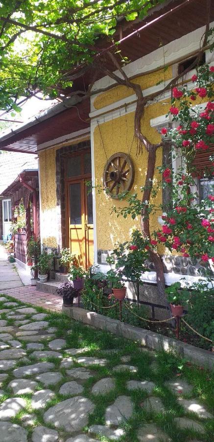 Villa Casa Boierului Imbri à Cîrţişoara Extérieur photo