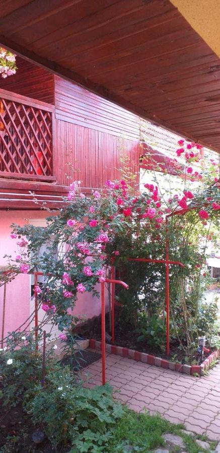 Villa Casa Boierului Imbri à Cîrţişoara Extérieur photo